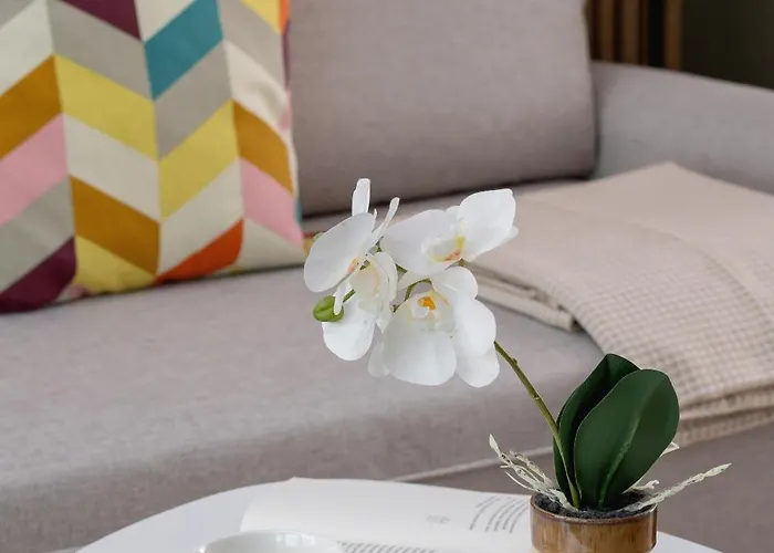 Goreckiego With Parking Spodek By Renters *